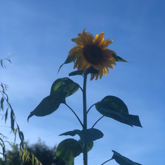 Meet your Posher, Heidi - Picture 1 of 16